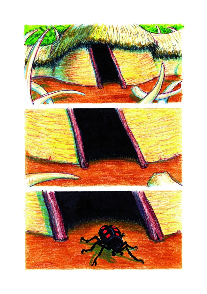 De kever en de koning 2